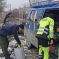 Услуги арбориста 2